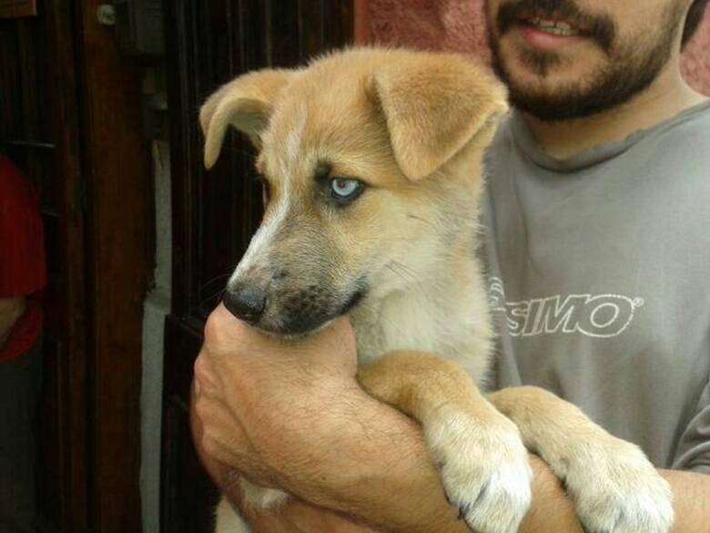 Description: C:\Users\WJETech\Downloads\IMG-20131024-WA0001.jpg